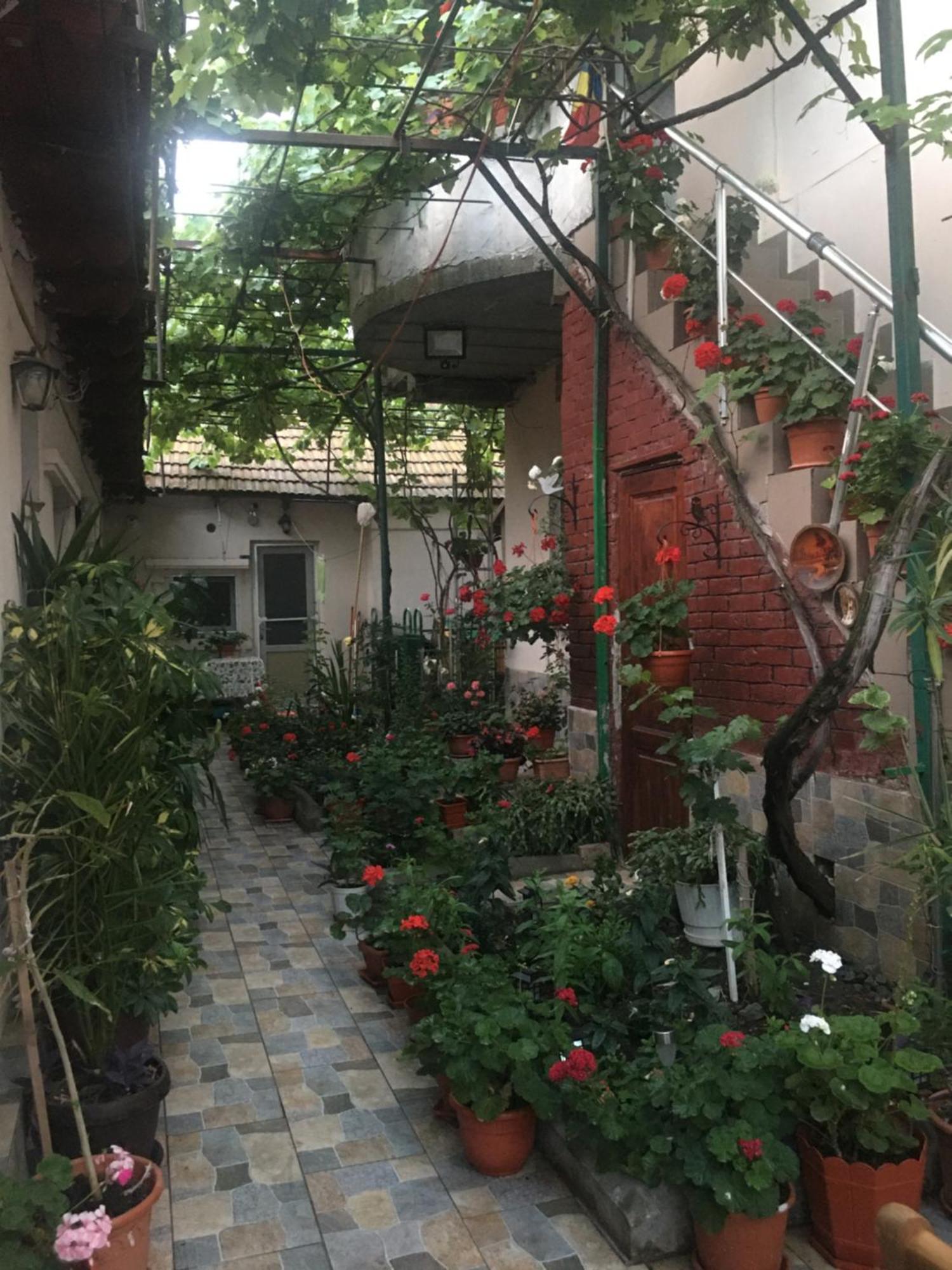 Cazare La Mare Vila Constanta Constança Exterior foto